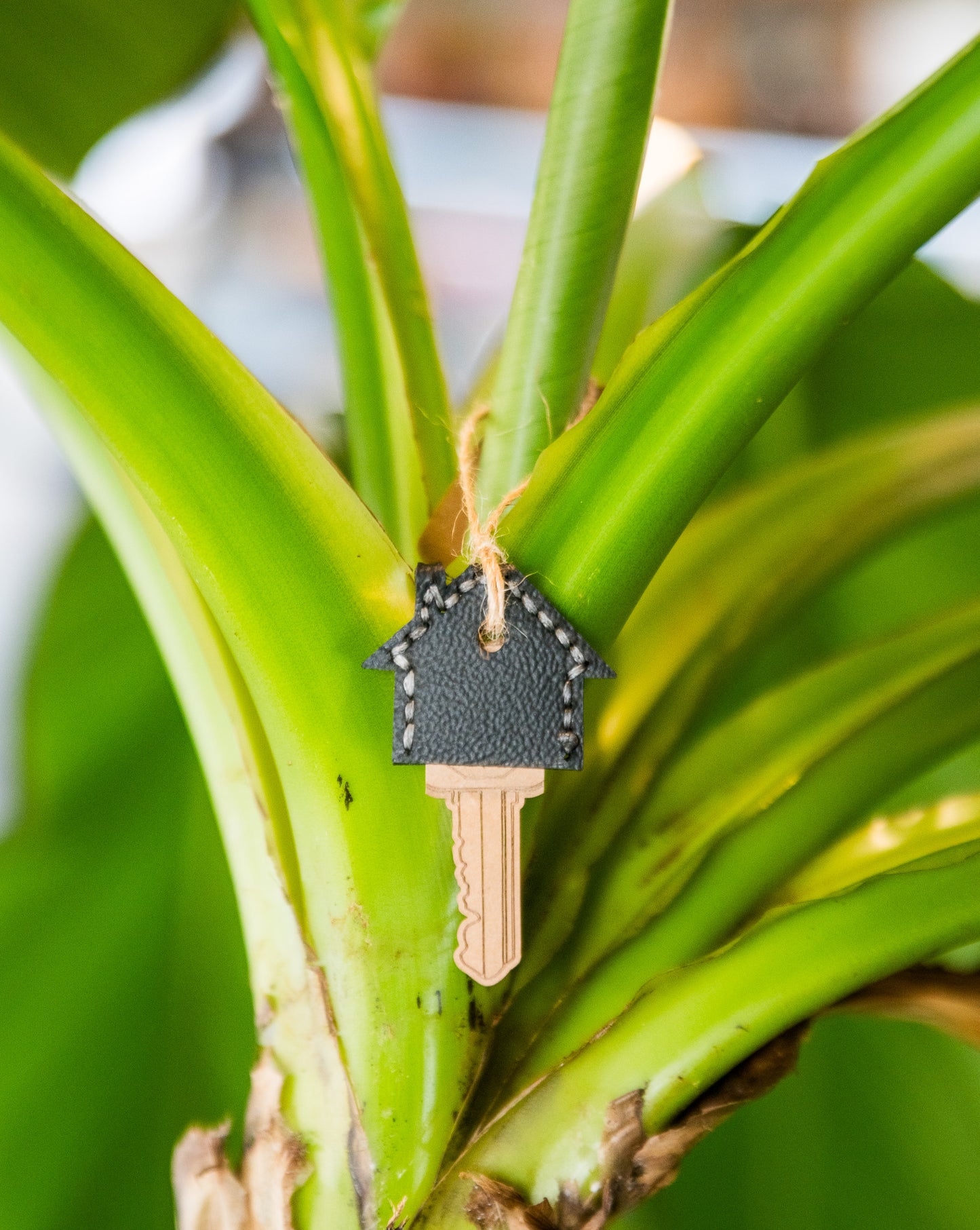 Leather House Key Cover